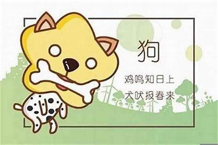 属狗的女人一生是否好命