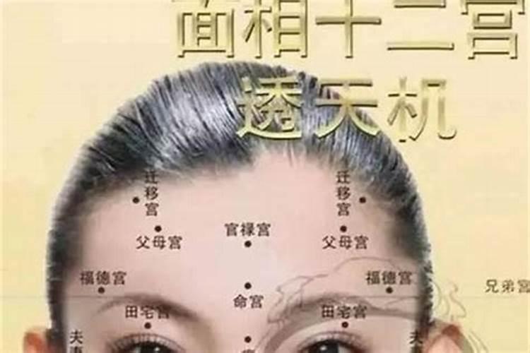 1982年狗2025年属狗的每月运势