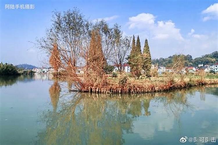梦见旅游风景美的预兆