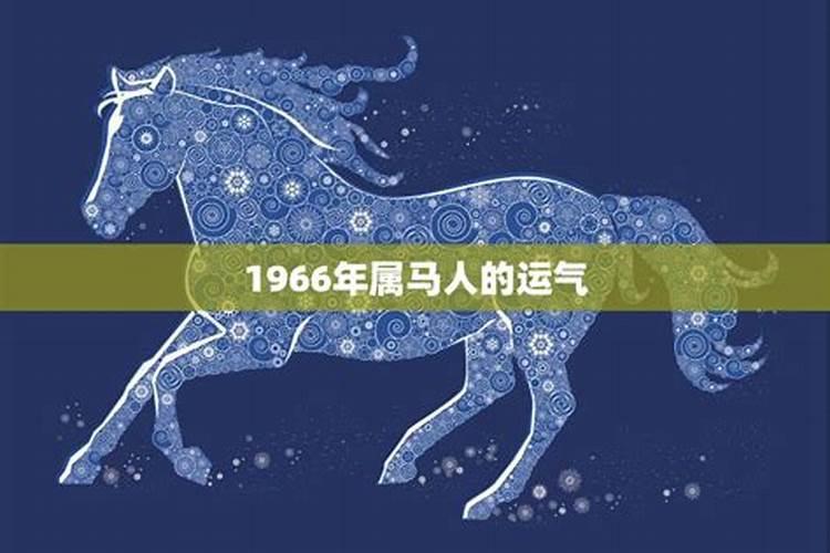 生肖马1966年2025年运势如何 生肖马1966年2025年全年运势