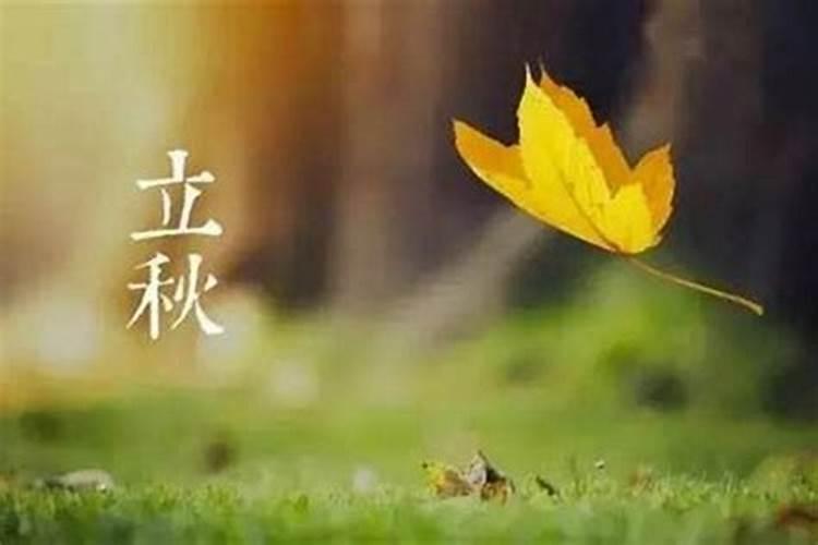梦见蛇挡路是什么意思