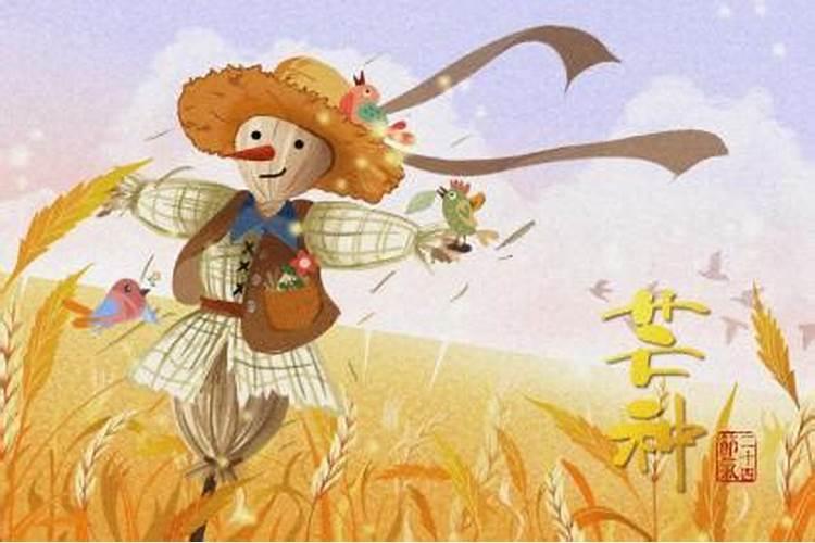 芒种开了铲夏至不拿棉的含义