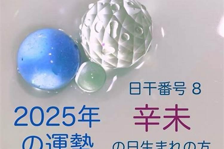 阴历1991年6月13日下午7点多男孩八字详批要详细的运程婚姻财运灾厄要...