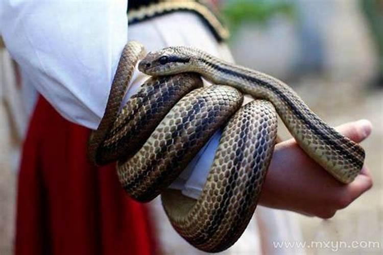 梦见别人被车子撞死的预兆