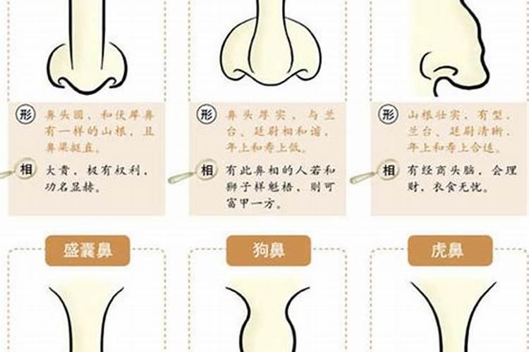 蒜头鼻子的男人命运蒜头鼻子的女人命运