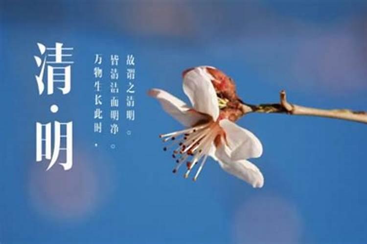 清明法定节假日是几天