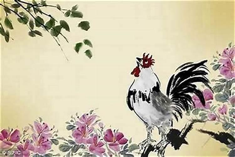69年属鸡人在2024年的全年运势 1969年属鸡55岁灾难