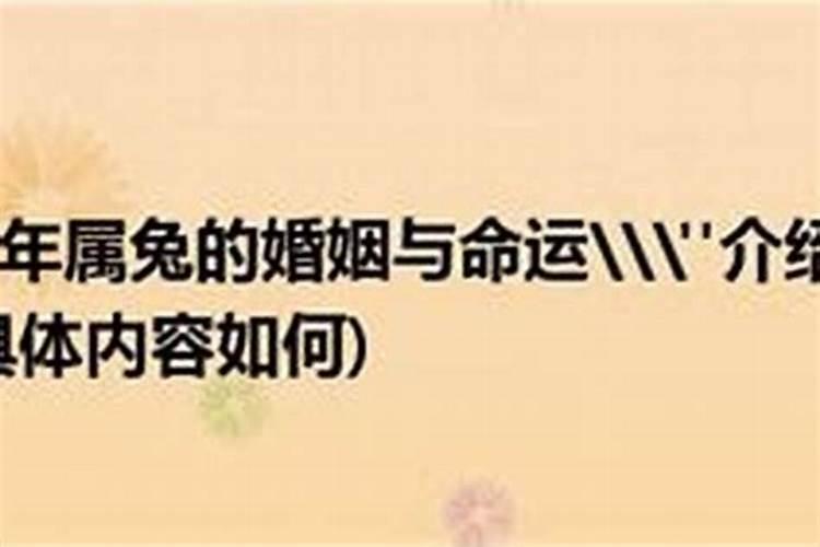 87年属兔一生婚姻缘分,1987年属兔的命运和婚姻怎么样？