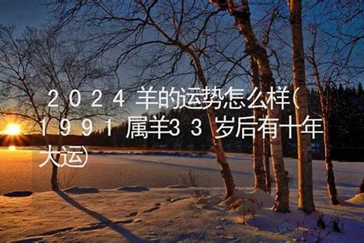 1991年腊月出生的羊的运势