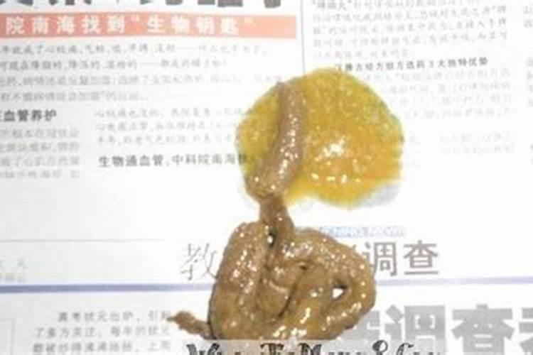 梦见别人拉屎是什么意思？