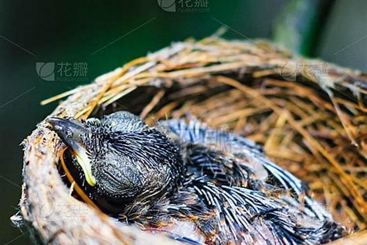 湛江过年必去十大好玩的景点推荐,湛江室内景区推荐理由是什么百度知 ...
