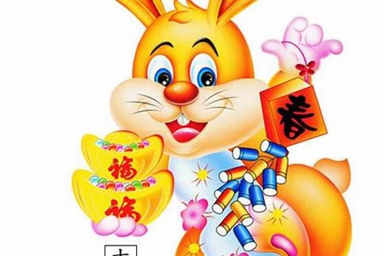 属兔人会发财吗 属兔的发展财运方向