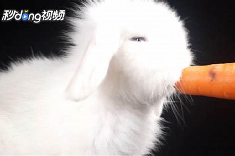 2025年哪个月份出生的宝宝最好
