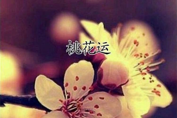 阻止老公出轨的风水