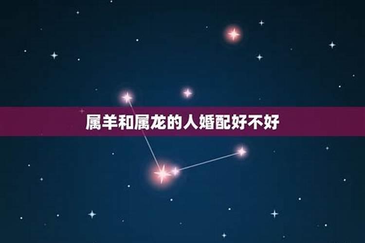 属龙和属羊的婚配合适吗