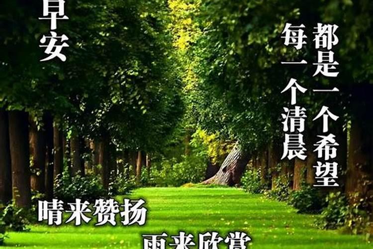 本命年有什么好事