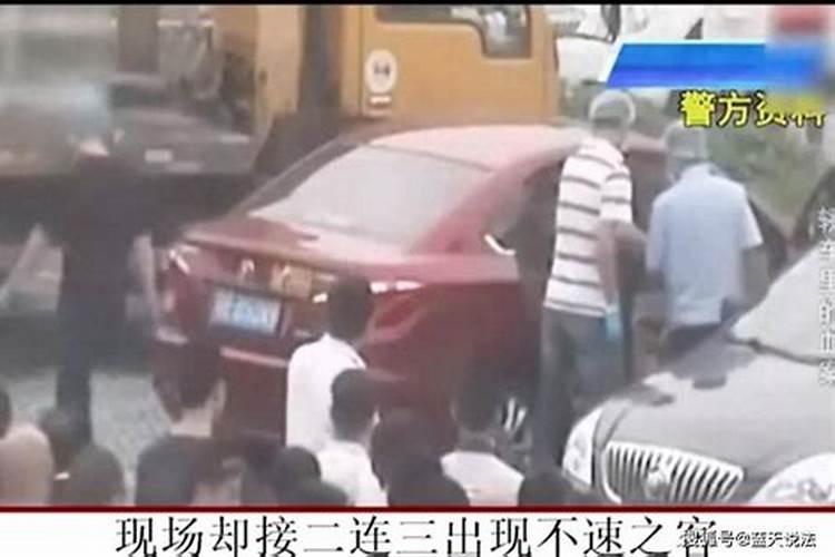 梦见小狗被开膛