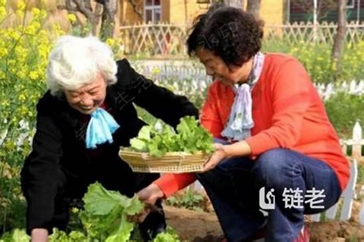 梦见在老家见到去逝的母亲