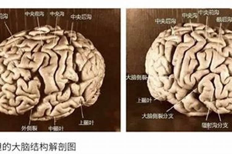 精神病的实质是鬼上身吗？