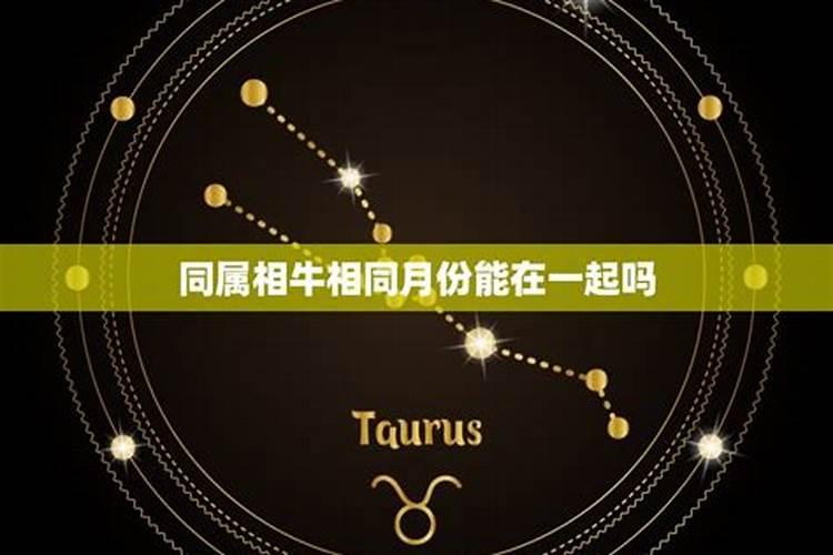男女都属龙相配吗？皆是“人中之龙”？