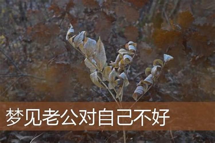 梦见妻子对丈夫不忠挨打的预兆