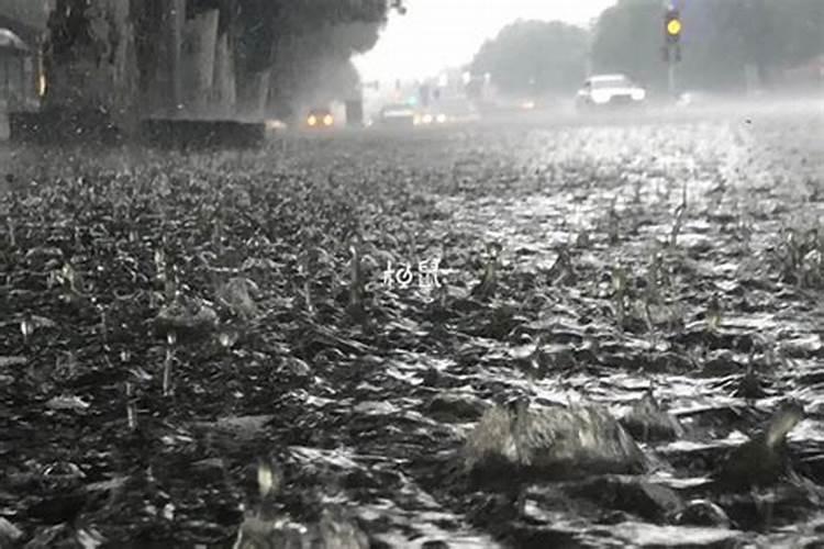 孕妇梦见下大雨发大水什么意思