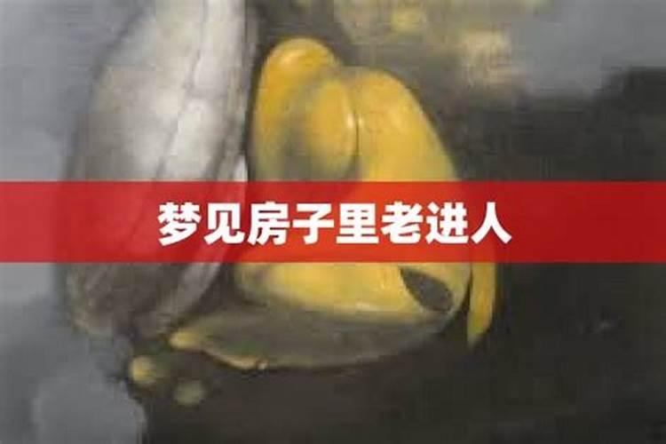 梦见蟒蛇在娘家老宅子里的预兆