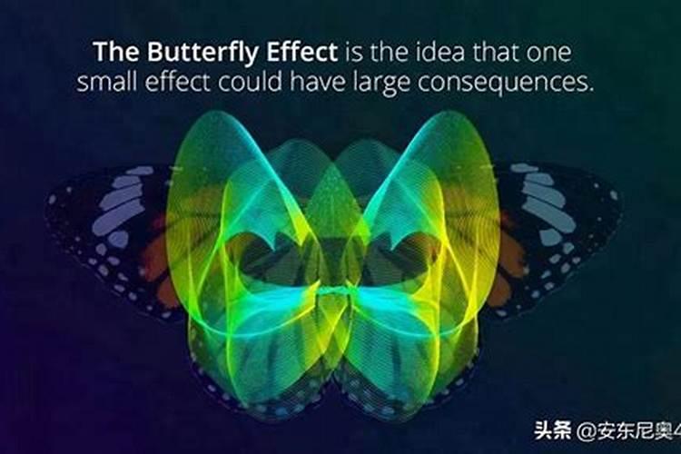 梦见蝴蝶效应有什么征兆
