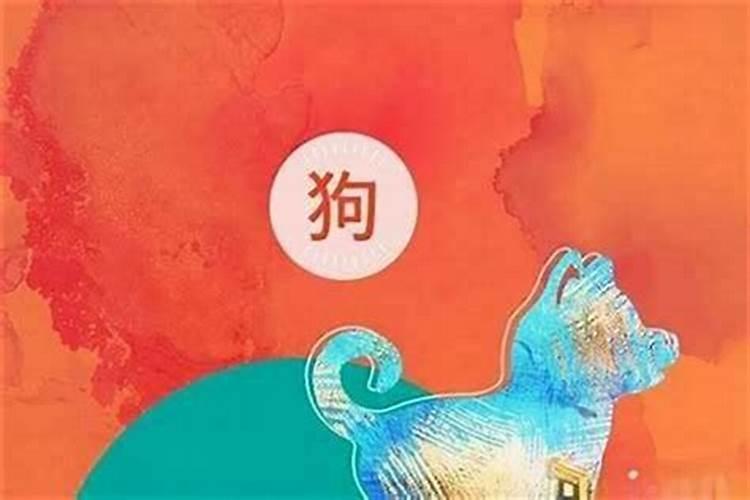 属猪的找对象,哪个属相最好!