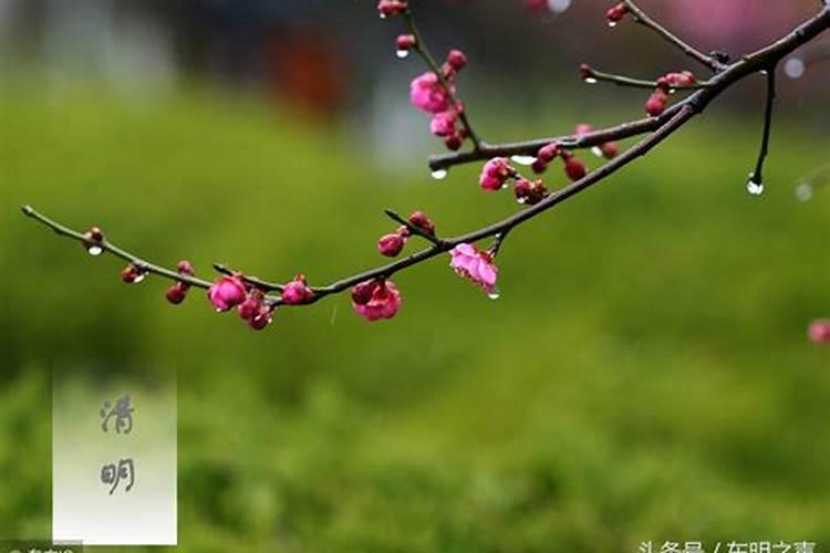 清明节那天宜是祭祀,忌是破土,那要不要动土