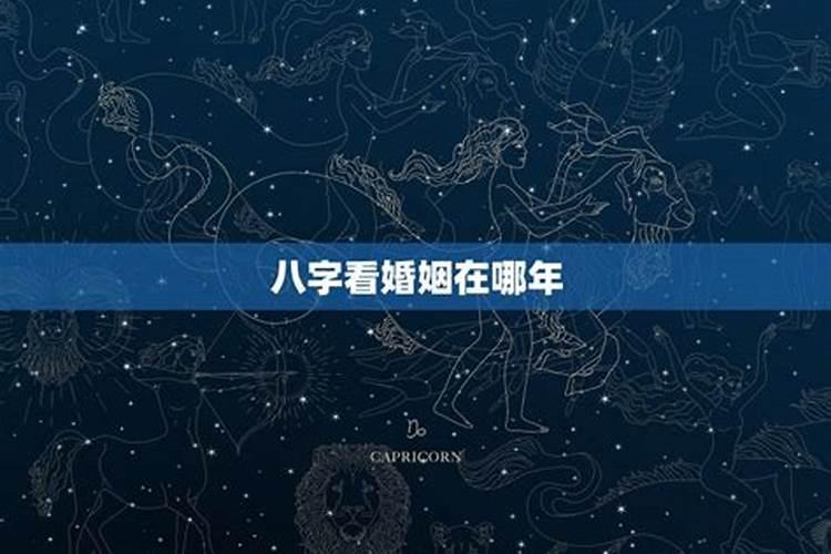 属狗十二月出生的是什么命,属狗未来3个月将发生大事