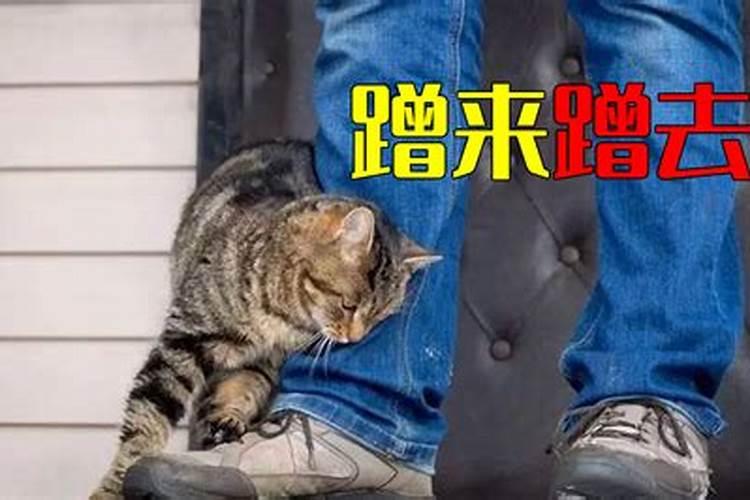梦见别人摸脚的预兆