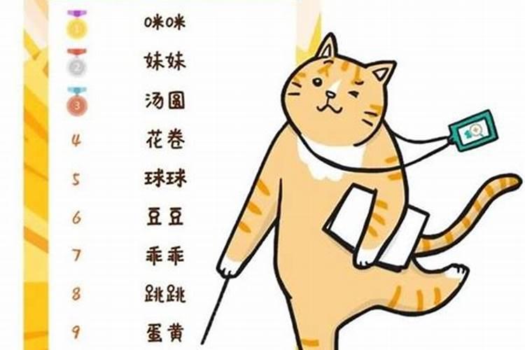 你经历过哪些别人一听就绝不相信的真实故事？