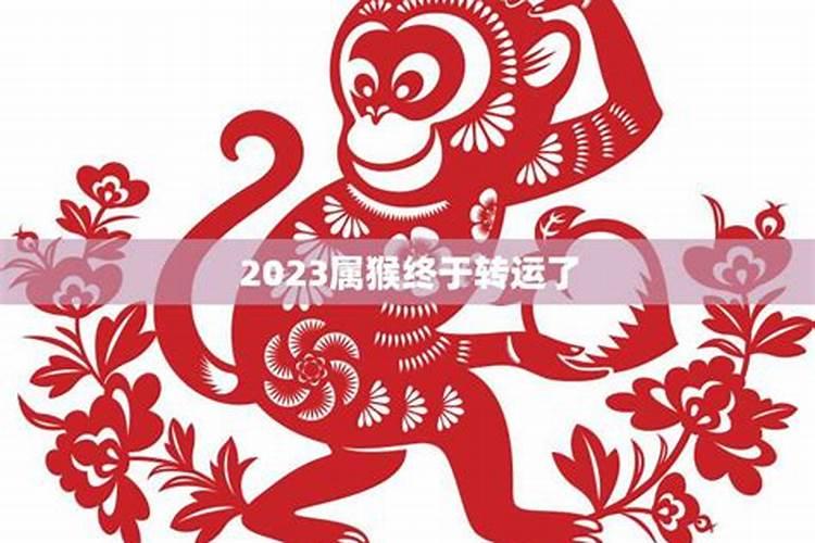 属猴人在2025蛇年运气如何