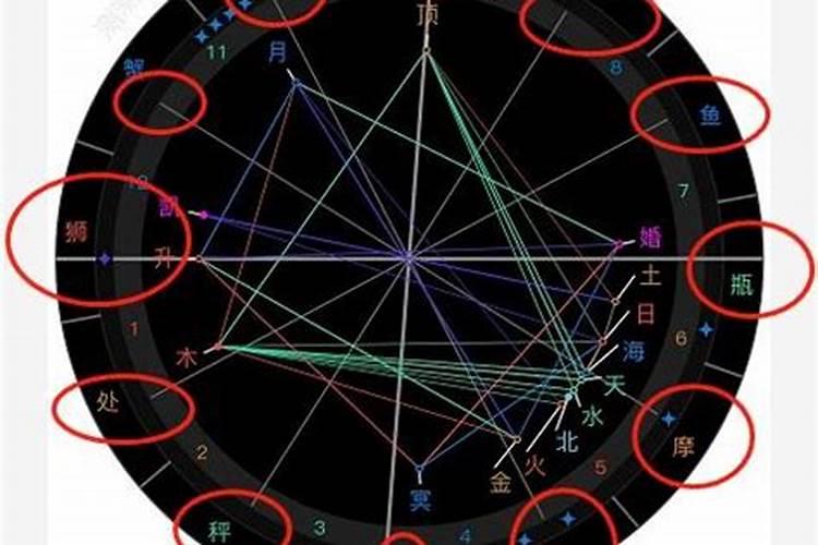 属虎人6月份运势2025
