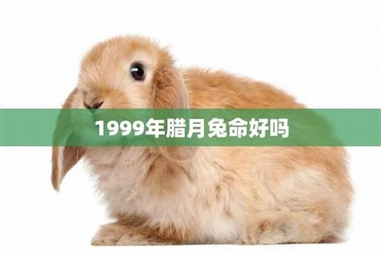 1980年腊月20的女人今年的财运如何
