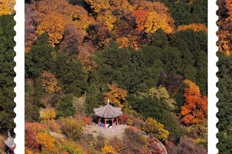 北京香山公园重阳登高游时间