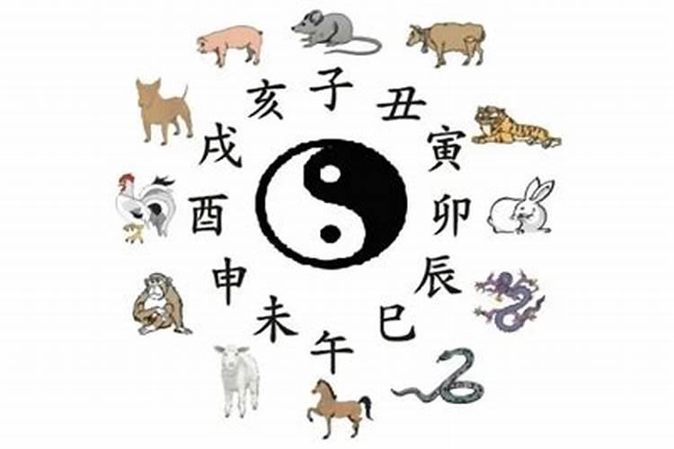 7月的蛇命运如何