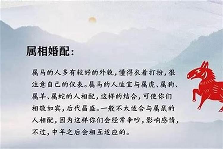 上等婚配生肖配对