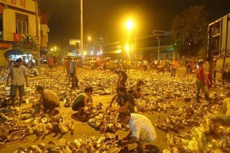 大连有哪些适合登高远眺的好地方？