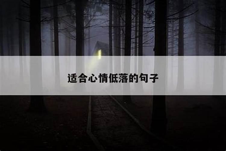 女记者太岁是什么梗