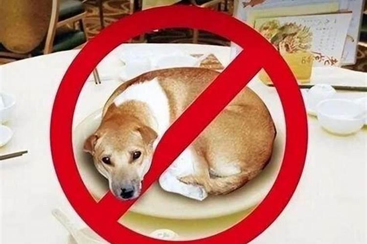 吃狗肉会影响人的运气吗？