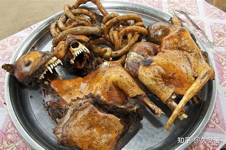 算命先生说我忌食狗肉,会容易招来阴极磁场,运势会反复。我想问问阴极...