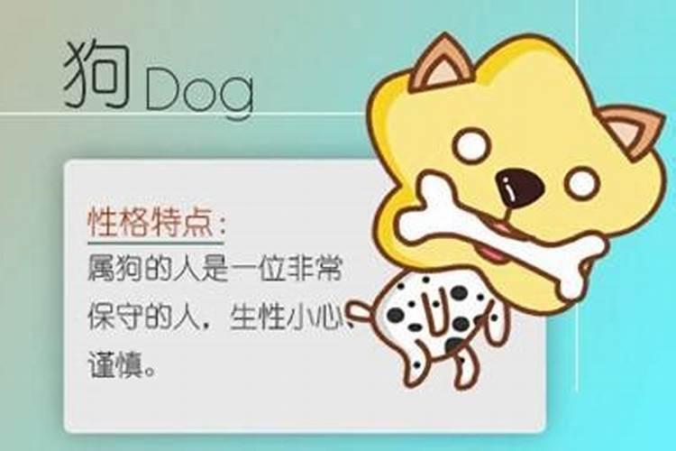 属虎的和属狗的配吗