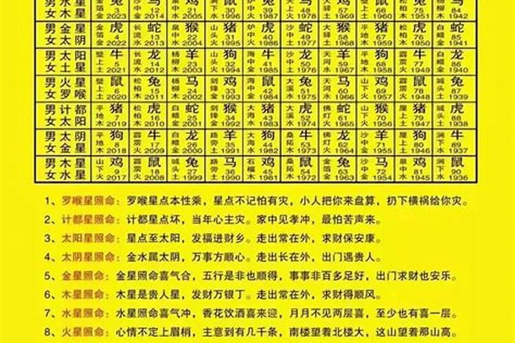 生肖兔2025年运势 属兔2025年运势及运程