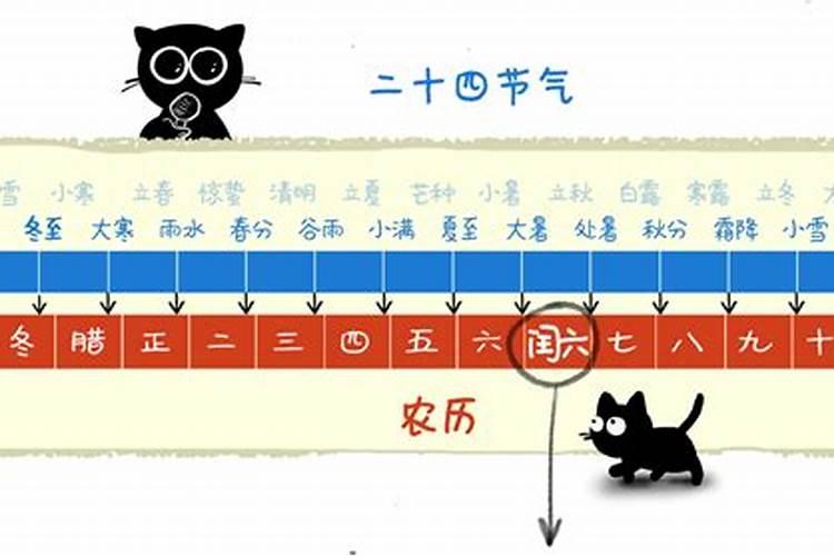 闰月有闰正月和腊月的吗 每个闰年都有闰月吗