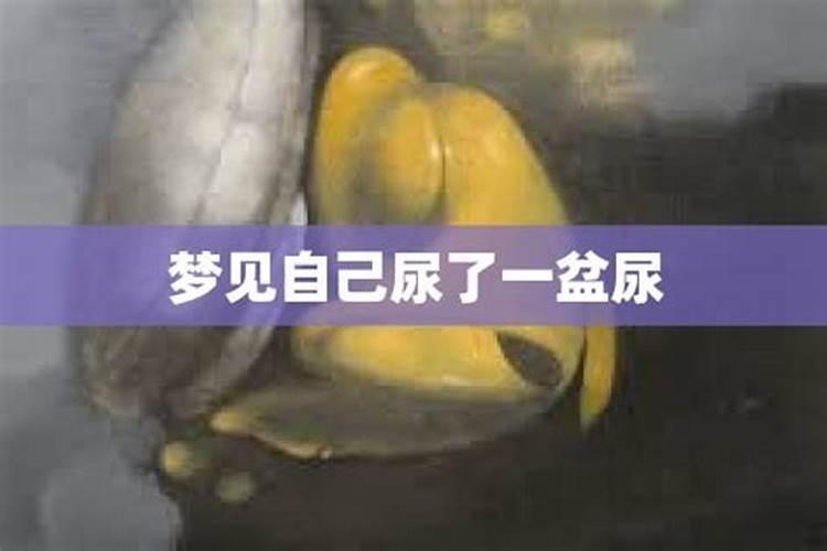 梦见尿在自己手上