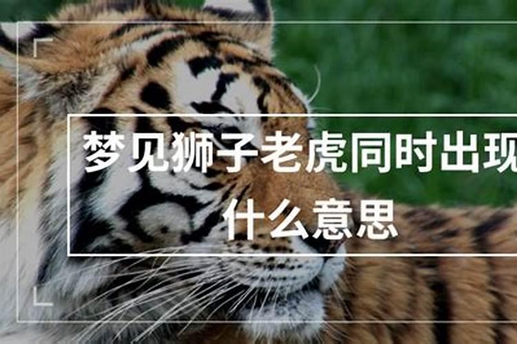 做梦梦到最害怕的东西的意思 做梦梦到最害怕的东西的含义