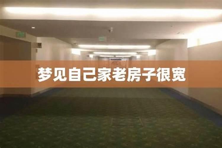 梦到老房子里来了好多孩子？