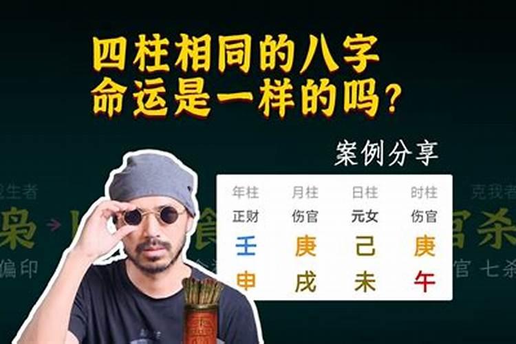 梦见一个红色的小蛇的预兆
